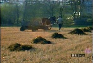 Examine the state of Polish agriculture and observe the primitive techniques and manual labour employed