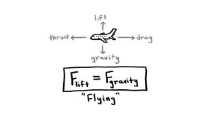 Learn how the structure of wings and the air molecules help airplanes to stay aloft