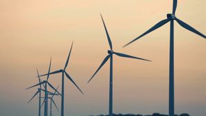 View to learn about renewable energy, its types, and also how the coronavirus pandemic has changed energy consumption and production patterns
