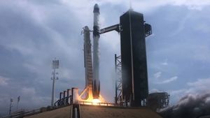 Learn about Space X, the future of space travel, and the future goals of NASA