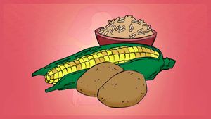 Uncover the science behind how the human digestive system breaks down carbohydrates, proteins, and fat