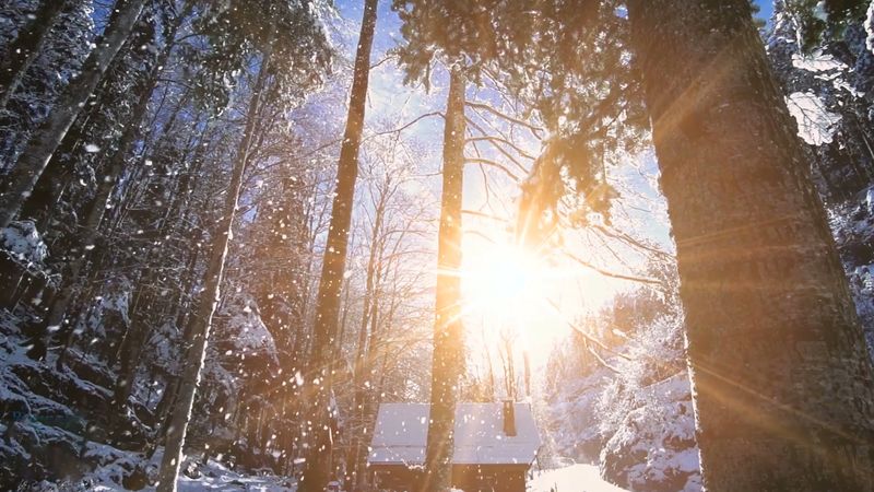 Learn how Christian historian Sextus Africanus and Roman Emperor Constantine I determined Christmas's date