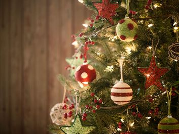 Christmas tree, holiday, pine