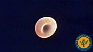 Travel with the red blood cell as it transports oxygen and carbon dioxide through the heart, lungs, and body tissues