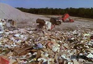 Explore how bacteria and other microorganisms decompose solid-waste efficiently in sanitary landfills