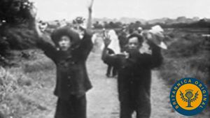 Examine early U.S. involvement under the Eisenhower administration in Vietnam during the First Indochina War