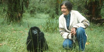 Dian Fossey
