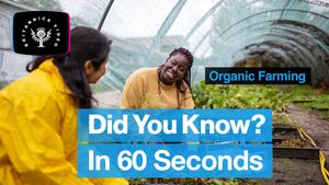 Discover the benefits and drawbacks of organic farming