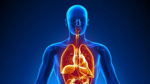 Learn how a failure in the endocrine system may affect digestive, circulatory, and excretory systems