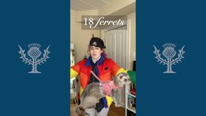 Memorize this song and never forget a fact about ferrets again