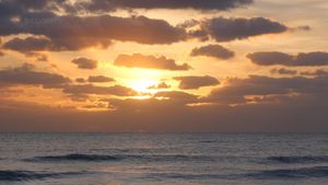 Survey Florida's history, culture, and people from Juan Ponce de León to Ray Charles