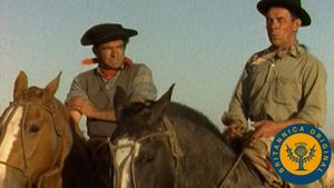 Learn how gauchos came to represent individuality and freedom in the same spirit as the American cowboy