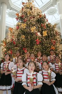 Christmas in Seoul