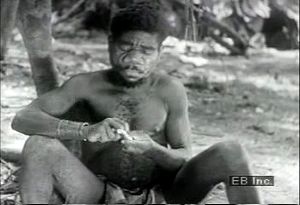 Watch Efe Pygmies process vines to extract paralyzing and nauseous poison for their arrows