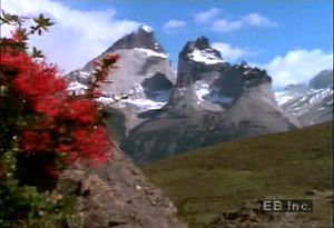 Behold Andean condors soaring among mountaintops of the Andes, a chain that stretches the entire length of South America
