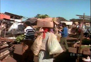 Walk through a southern African open-air market and learn about exports important to the region