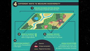 View to understand the different ways to measure biodiversity