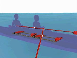 Study the continuous back-and-forth of the rower's seat the two-person sweep event