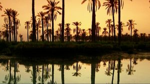 Explore the historical city of Babylon and see the efforts of scientists to reconstruct the city