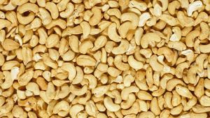 Discover how the cashew's close relationship to poison ivy and poison sumac makes its shell toxic to consumers