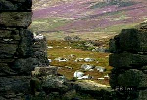 Tour Ireland's countryside and learn why the country's population decreased after the Industrial Revolution