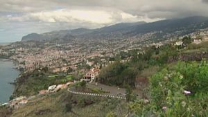 Learn about the history and natural landscapes of Madeira Island