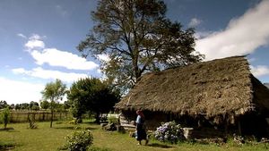 Explore the traditional life of Mapuche people in Chile