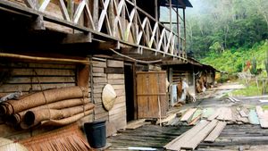 Explore Malaysia's noncontiguous Southeast Asian peninsula and island of Borneo and the people therein