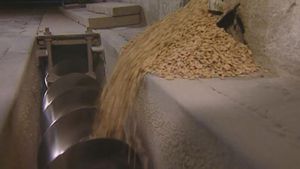 Learn about rice production in Italy and meet a farmer known for producing high-quality Baldo rice in the Piedmont region, Italy