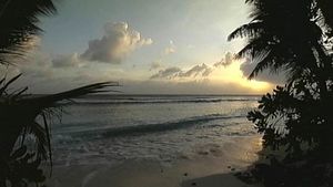 Learn about the devastating health effects of the people on the Likiep Atoll as a result of the U.S. nuclear tests at Bikini atoll, Marshall Islands