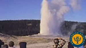 Behold Yellowstone's hot springs and geysers such as Old Faithful and its various large animal species