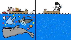 Learn about microplastic and its harmful effect on marine animals