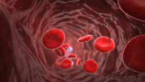 Know about dengue fever and how NS1 viral protein makes dengue a severe disease by causing vascular leak and shock