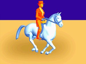 Study the horse's fastest natural gait and observe the racing gallop's four-beat pace