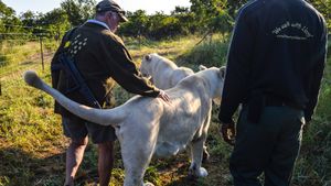 Take part in a ranger training program at Kruger National Park in South Africa