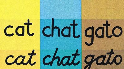 13:072 Reading: How Words Work, chart showing the word cat in English, French, and Spanish, in print and cursive