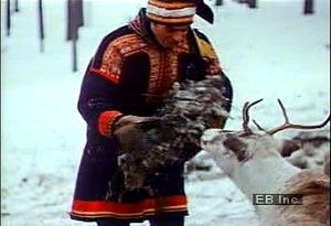 Listen to Sami reindeer herdsman in Sweden discuss impact of expanding human populations on farming practices
