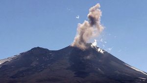 Witness researchers monitoring and evaluating the observations of the erupting Llaima volcano, Chile