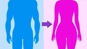 Understand what happens when someone undergoes hormone therapy, used for physically transitioning genders
