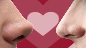 Learn about pheromones and its role in human attraction