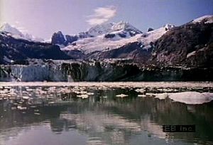 Witness scenic beauty, marine wildlife, and glaciers in Glacier Bay, Alaska
