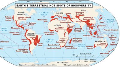 terrestrial hot spots of biodiversity
