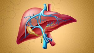 Know how stress affects the human body