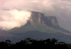 Investigate vegetation unique to cloud forests atop tepui and lowland rainforests in Guiana Highlands region