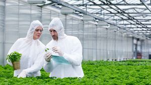 Know about genetically modified organisms, their importance, and impact on the environment