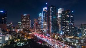 Understand the effects of light pollution on the environment and humans