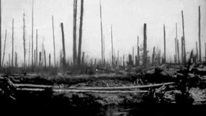 Learn about the explosion of a possible comet or asteroid over the Siberian taiga