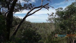 Explore the varied landscapes, a mix of rain forest, reef, and wildlife of Townsville, Australia