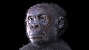 Hear a discussion about the uniqueness in humans which separates them from other animals
